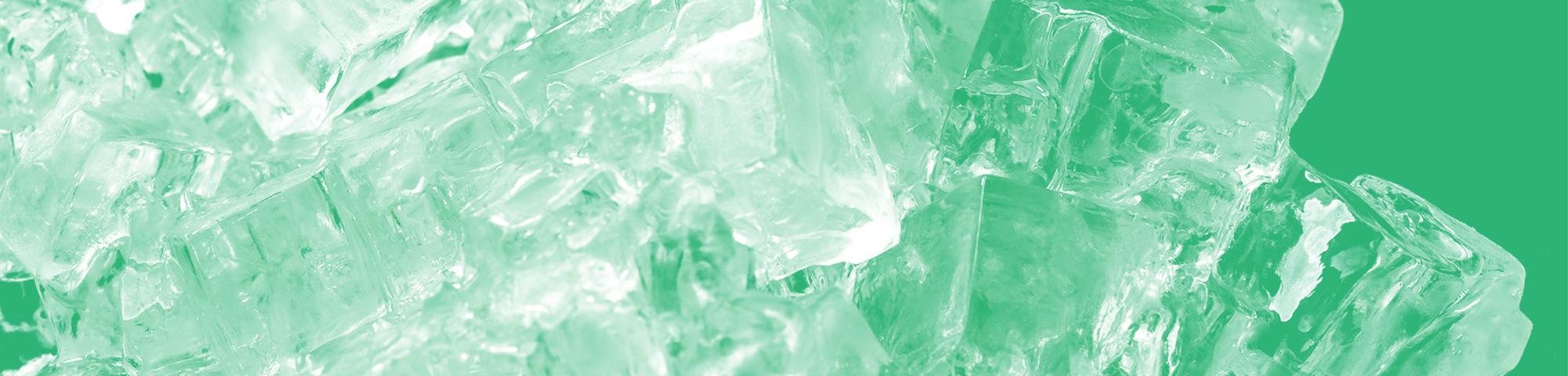 プライバシーポリシー