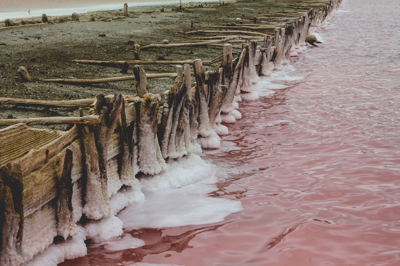 塩の種類と特徴：あなたに合うのはどれ？